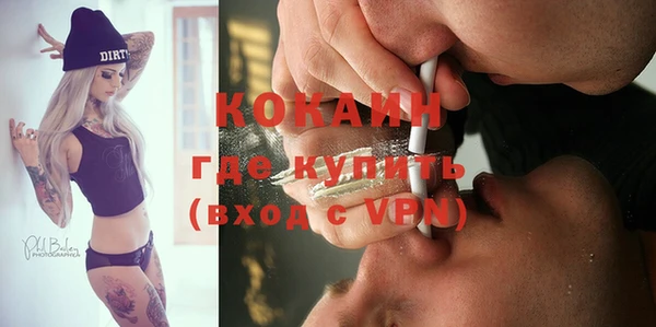 стаф Арсеньев