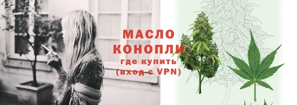 стаф Арсеньев