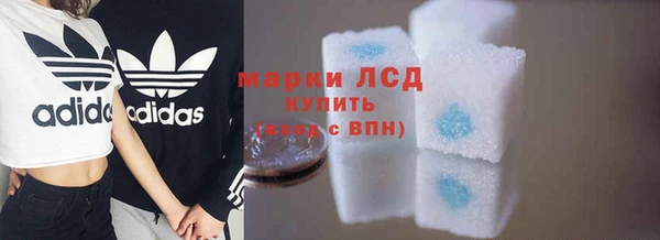стаф Арсеньев