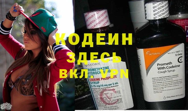 стаф Арсеньев