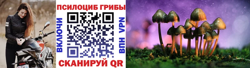Галлюциногенные грибы ЛСД Берёзовский